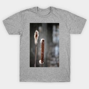 Cattails T-Shirt